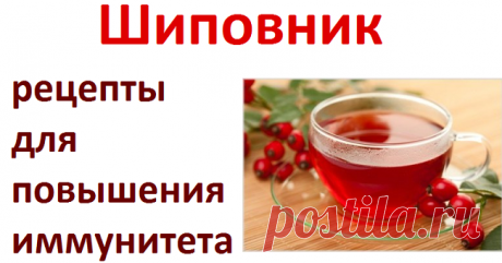 Рецепты для иммунитета с шиповником | Советы целительницы