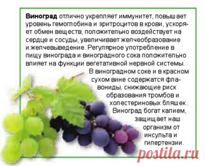 Виноград - лечебные свойства