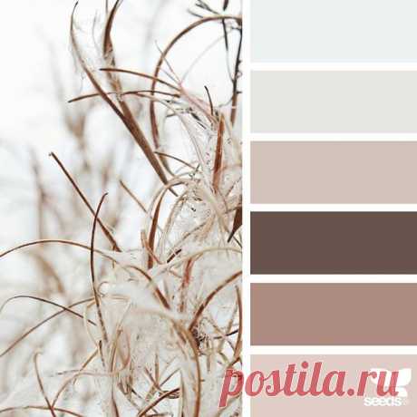 today's inspiration image for { nature tones } is by @arctic_stories ... thank you, Renate, for another incredible #SeedsColor image share!