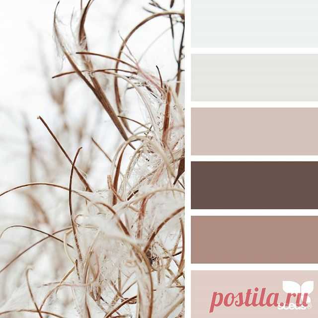today's inspiration image for { nature tones } is by @arctic_stories ... thank you, Renate, for another incredible #SeedsColor image share!
