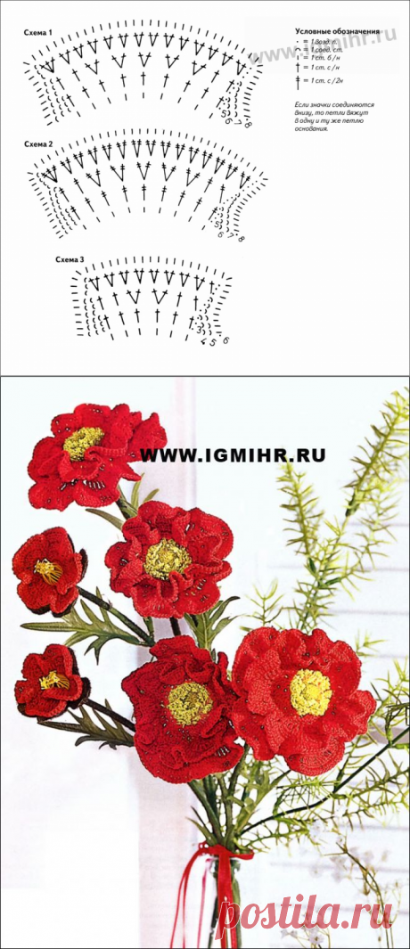 Букет для праздника. Ярко-красные маки.