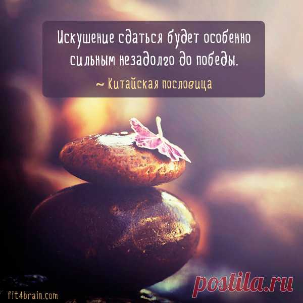 Счастливым можно быть… | Фитнес для мозга