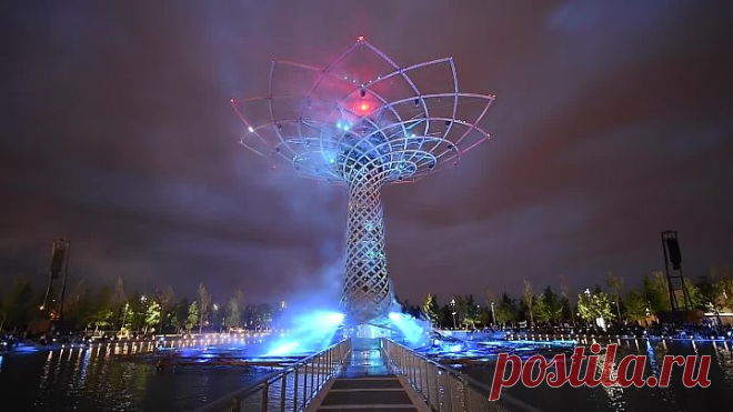 Древо жизни. Красотаааааааааааа!!!
