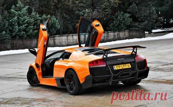 Lamborghini Murcielago / Только машины