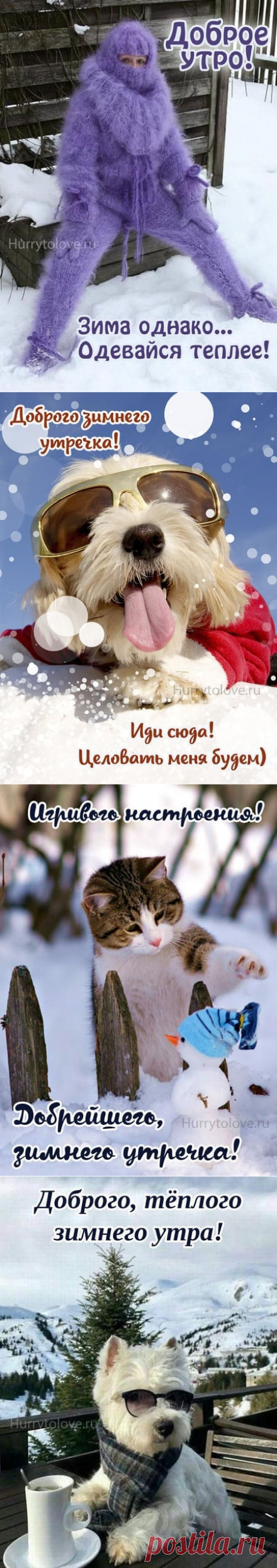 Прикольные картинки с добрым зимним утром: смешные и позитивные открытки с надписями