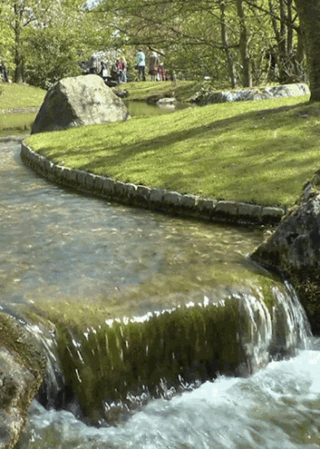 2015-01-30.gif (346×485)