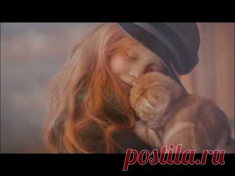 ЧТО ГОВОРИТ О КОШКЕ ЕЕ ОКРАС  Цвет кошки и характер Character of the cat by the color of the wool