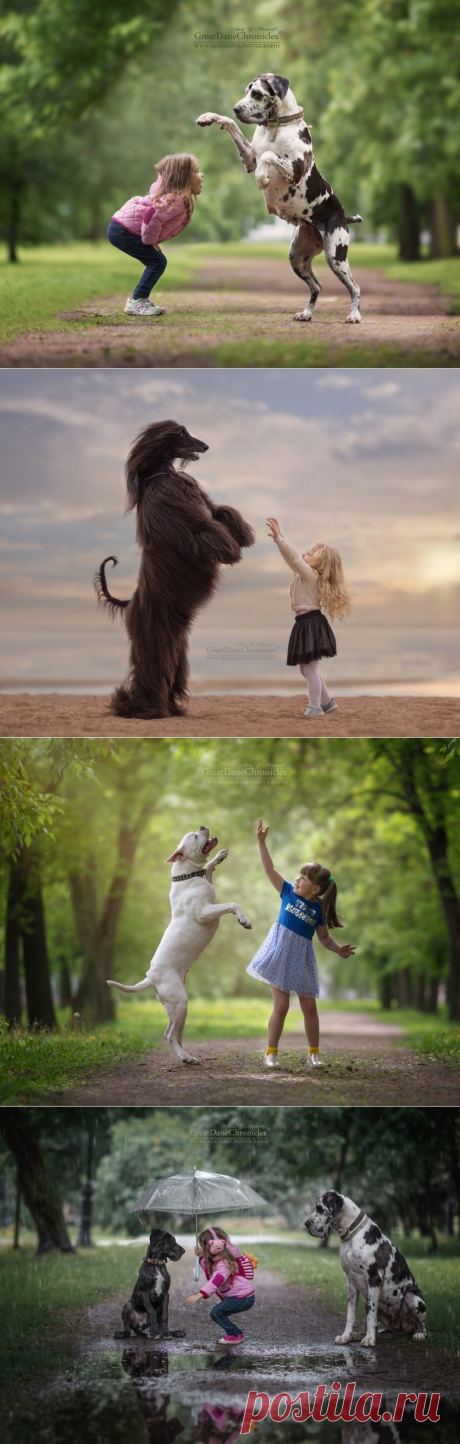 Эти фотографии вызывают умиление и улыбку!!! Детишки с собаками от Андрея Селиверстова | Фотоискусство