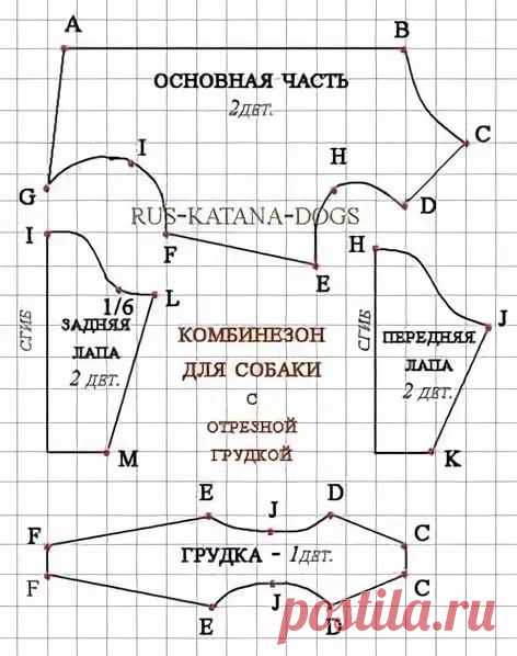 выкройка комбинезона для собаки удобный покрой: 6 тыс изображений CE1