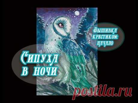 Вышивка крестом: "Сипуха в ночи". Начало процесса