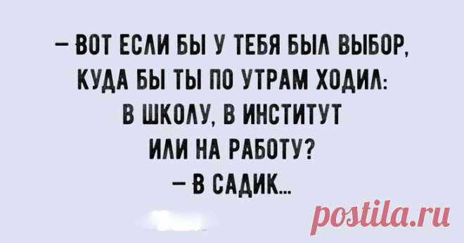 Новые смешные анекдоты с просторов сети Наша жизнь зависит от нас самих. От того, как мы относимся к себе и окружающим. Если вы живете на позитивной волне, то наверняка у вас все складывается наилучшим образом. Чтобы ваше настроение всегда ...