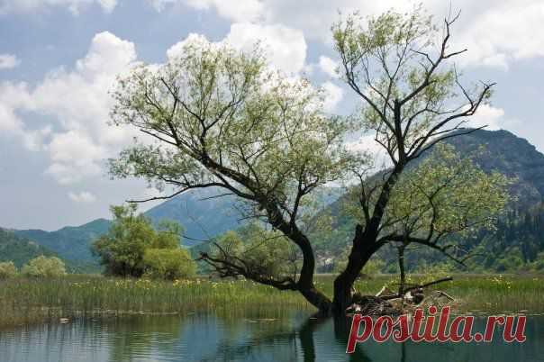 Momir Matkovic - Momir Matkovics Fotos | Facebook