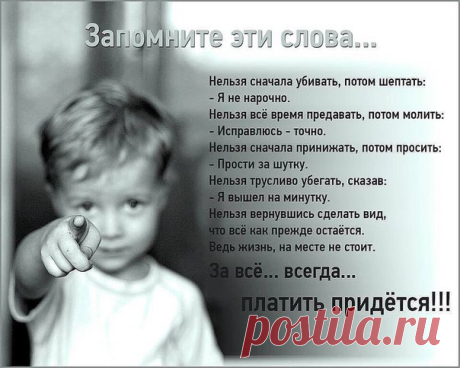 Волки