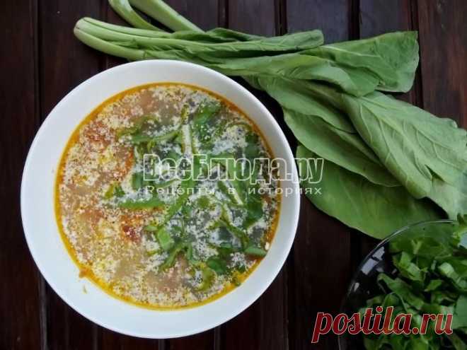 Суп из обрезков семги (брюшки, плавнички) со сметаной и зеленью, рецепт с фото | Все Блюда