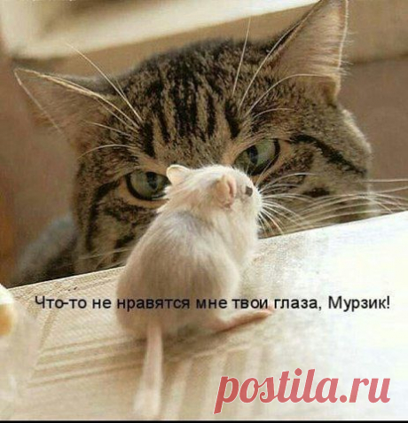 Однако....