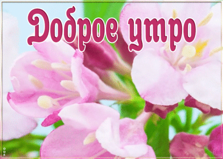 Красивая открытка с добрым утром