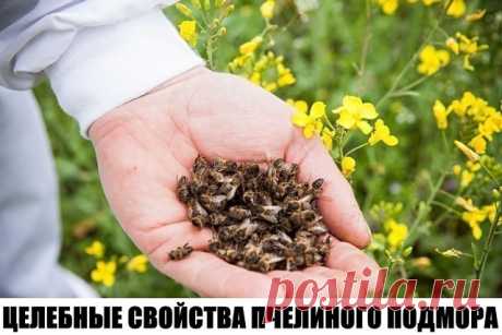 (1) Одноклассники