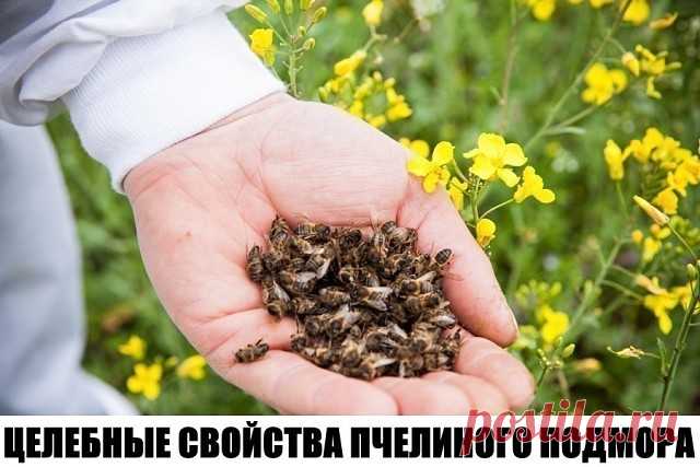 (1) Одноклассники
