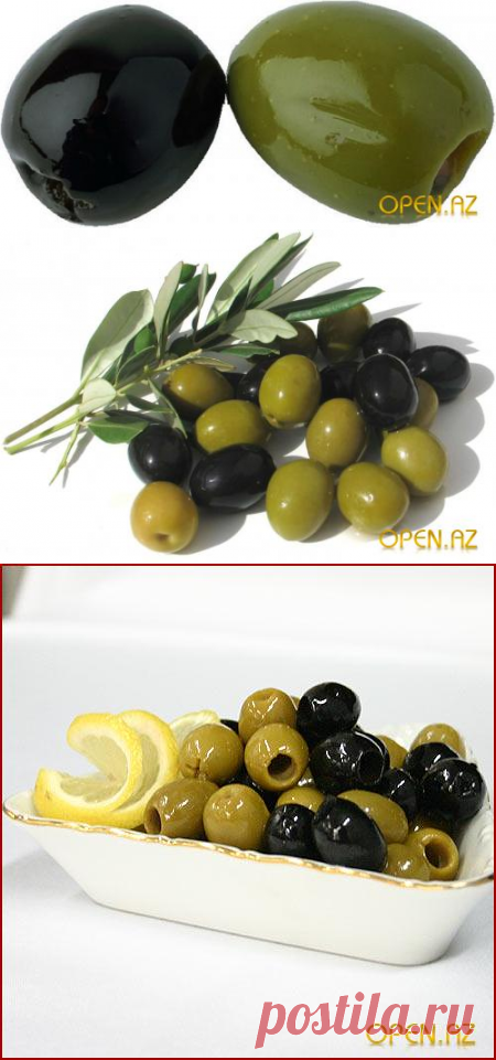 оливки и маслины разница. какого цвета оливки и маслины. различие маслин и оливок. оливки и маслины ращницы. оливки это недозрелые маслины.