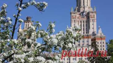 В Москве может обновиться весенний температурный рекорд