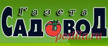 Предпосевная обработка семян овощных культур » "Газета садовод" - сетевое издание