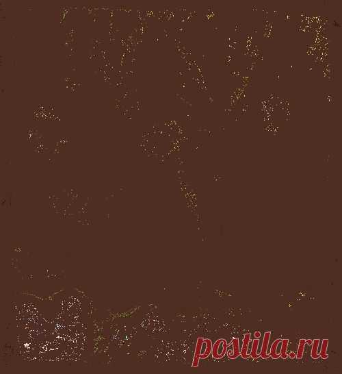 Комнатные растения и приметы | -  zaripowa.aniuta — я.ру
