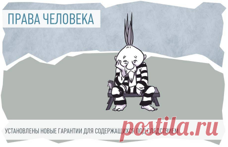 2023-Установлены новые гарантии для содержащихся в СИЗО граждан Теперь подозреваемые, обвиняемые и осужденные, находящиеся в следственных изоляторах и исправительных учреждениях, смогут видеться со своими несовершеннолетними детьми.