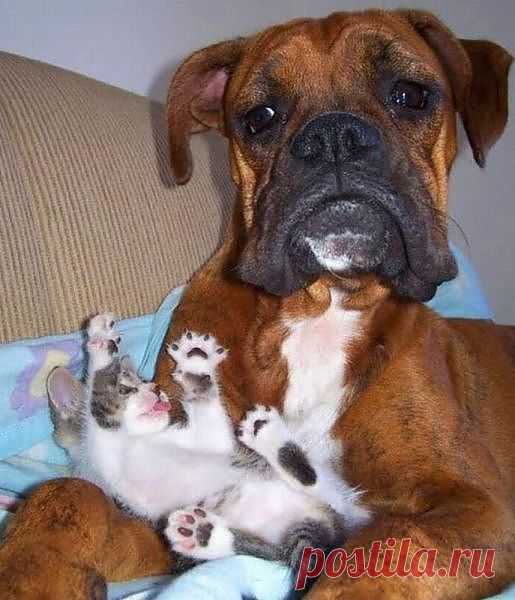 Размер не имеет значения )))