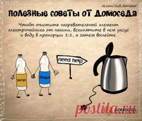 Полезные советы от Домоседа