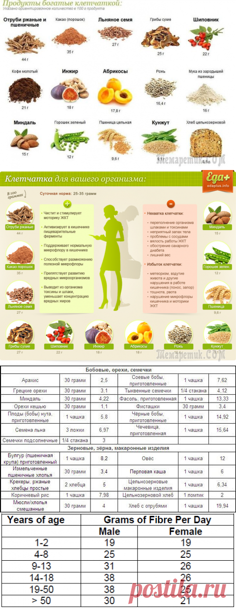 Пищевые волокна клетчатка продукты