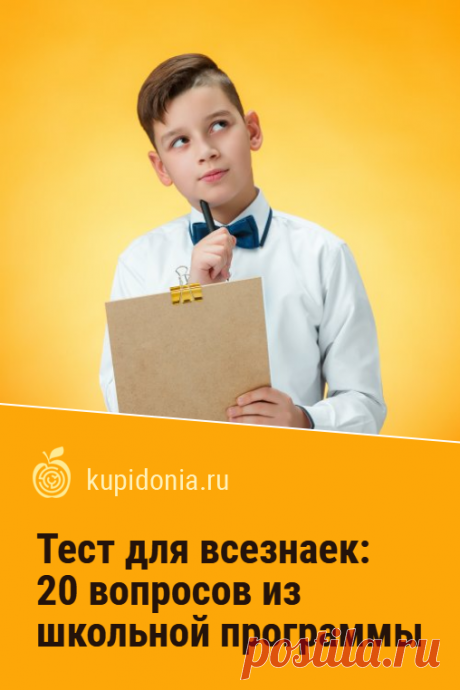 Тест для всезнаек: 20 вопросов из школьной программы. Тест для проверки ваших школьных знаний. Если вы были отличником, то должны легко с ним справиться. Попробуйте свои силы!