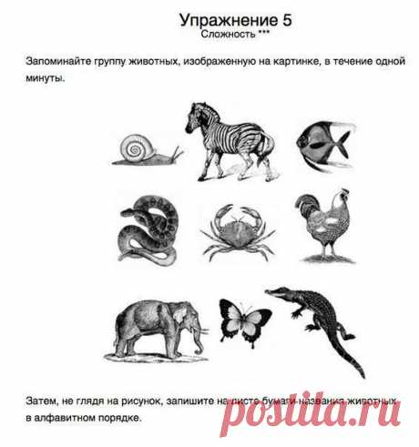 10 упражнений для тренировки памяти.