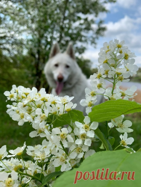 Доброе весеннее утро 🌸☀