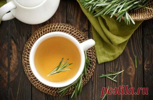 ХВОЙНЫЙ ЭНЕРГЕТИК 


Нам потребуется:


Хвоя (иголки) — 100 г 

Лимон (по вкусу) 

Мед (по вкусу) 

Вода - 1л 


Приготовление:

1. Приходим домой, моем только что собранные молодые веточки сосновой или кедровой хвои.
…