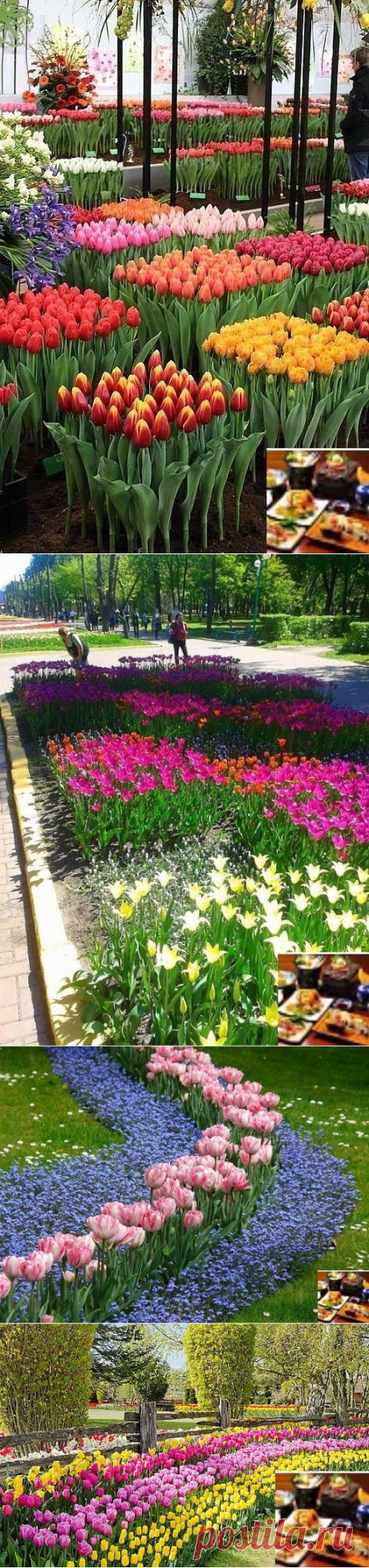 (83) Одноклассники