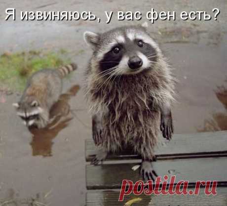 Мой Мир@Mail.Ru