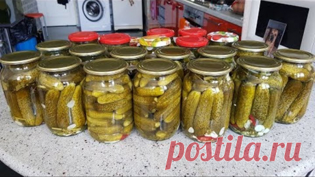 Огурцы на Зиму БЕЗ УКСУСА! БЕЗ КИПЯТКА! Ответы на вопросы.