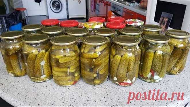 Огурцы на Зиму БЕЗ УКСУСА! БЕЗ КИПЯТКА! Ответы на вопросы.