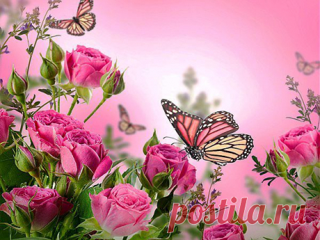 Мой Мир@Mail.Ru