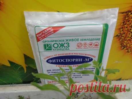 ФИТОСПОРИН -  ЧТО МЫ ДОЛЖНЫ ЗНАТЬ О НЕМ? Ольга Чернова.