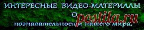 Мы не только живем, но и умираем на бегу — и слишком возбуждены собственными фантазиями, чтобы остановиться хоть на миг.
