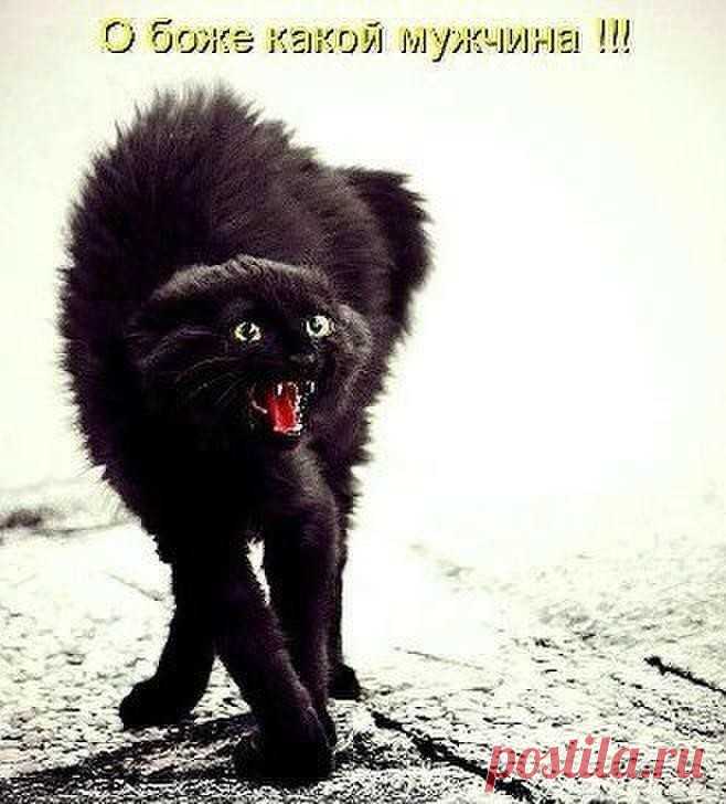 НЕ БОЮСЬ Я ОСТАТЬСЯ В СТАРОСТИ НЕ БОЮСЬ Я ОСТАТЬСЯ В СТАРОСТИ
В одиночестве и с котом.
Хуже знаете ли из крайности
Звать кого-то в постель и дом.
Называйте меня ледышкою,
Самым синим из всех чулков,
Только знаете лучше мышкою,
Чем с любым, кто всегда готов.
И оставьте другим возможности
Быть в компании дураков.
Я не вижу особой сложности
Быть без принципов и оков.
Не хочу я быть в ногу с временем,
Где обёртка вкусней конфет.
Уважайте чужое мнение.
Уходя выключайте свет!
https://www.inpearls.ru/