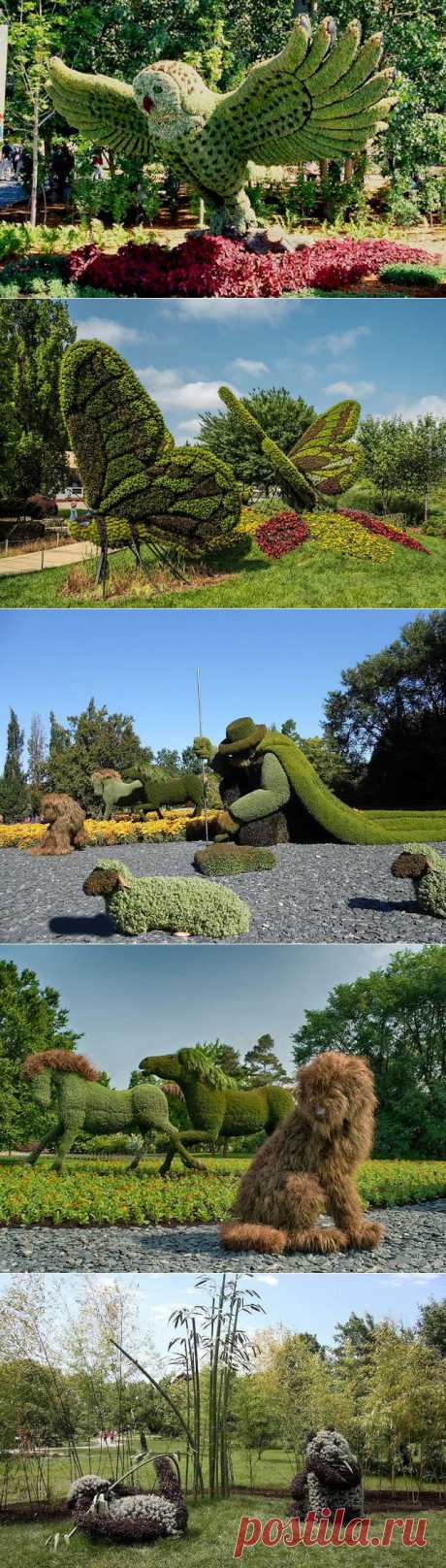 My Virtual Garden: Mosaiculture Exhibition