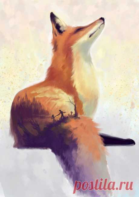 The fox remembers..., Wolka Art