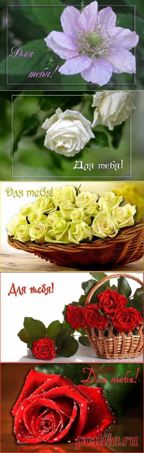 Для тебя! Цветочные открыточки :) Под катом - Блестящие анимированные картинки - Группы Мой Мир