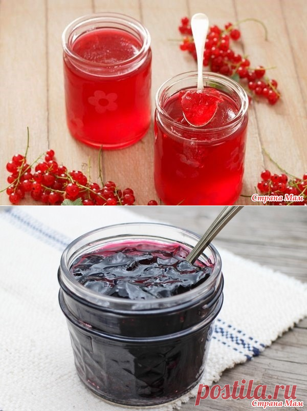 Желе из красной смородины приготовление