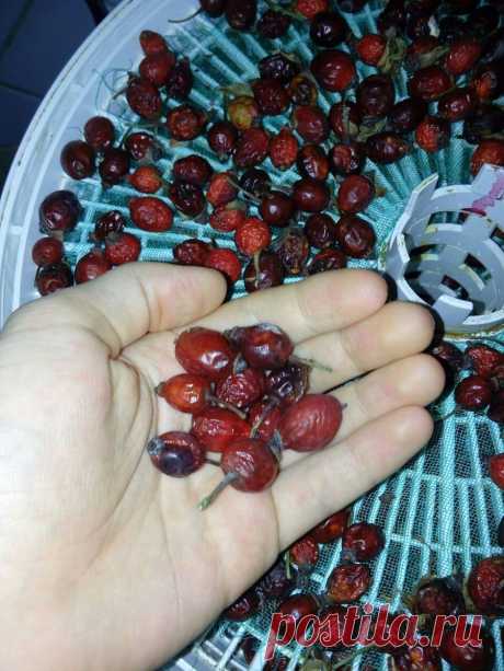 3 простых продукта, которые так нужны нашей печени и поджелудочной железе в зимний период, но мало кто использует их в пищу | Природа Лечит | Яндекс Дзен