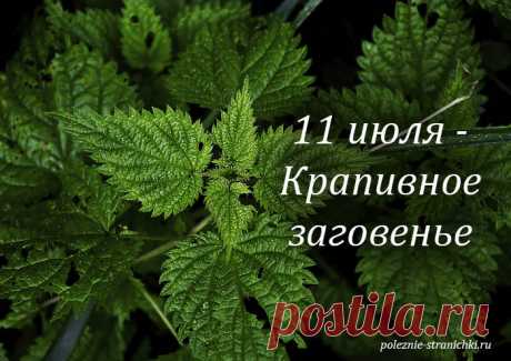 Народные приметы 11 июля в день Крапивного заговенья. Что не стоит делать 11 июля, а что надо сделать по народным поверьям и приметам