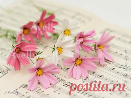 Лучшие МК  Талантливые Мастера  Реклама 

МК! Альбом https://vk.cc/49dwFs МК из фоамирана 

#мастер_класс@mk_topiary #мастер_класс_по_фоамирану@mk_topiary