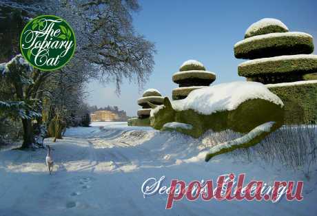 The Topiary Cat Xmas 2016 Happy Christmas from The Topiary Cat! In memory of poor Tolly who died in February this year. www.thetopiarycat.co.uk